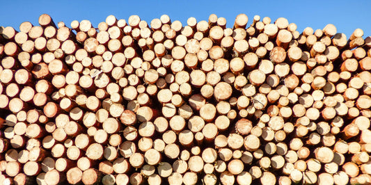 Top 5 Tips for Storing Wood Fuel Correctly