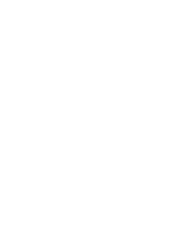 Flame