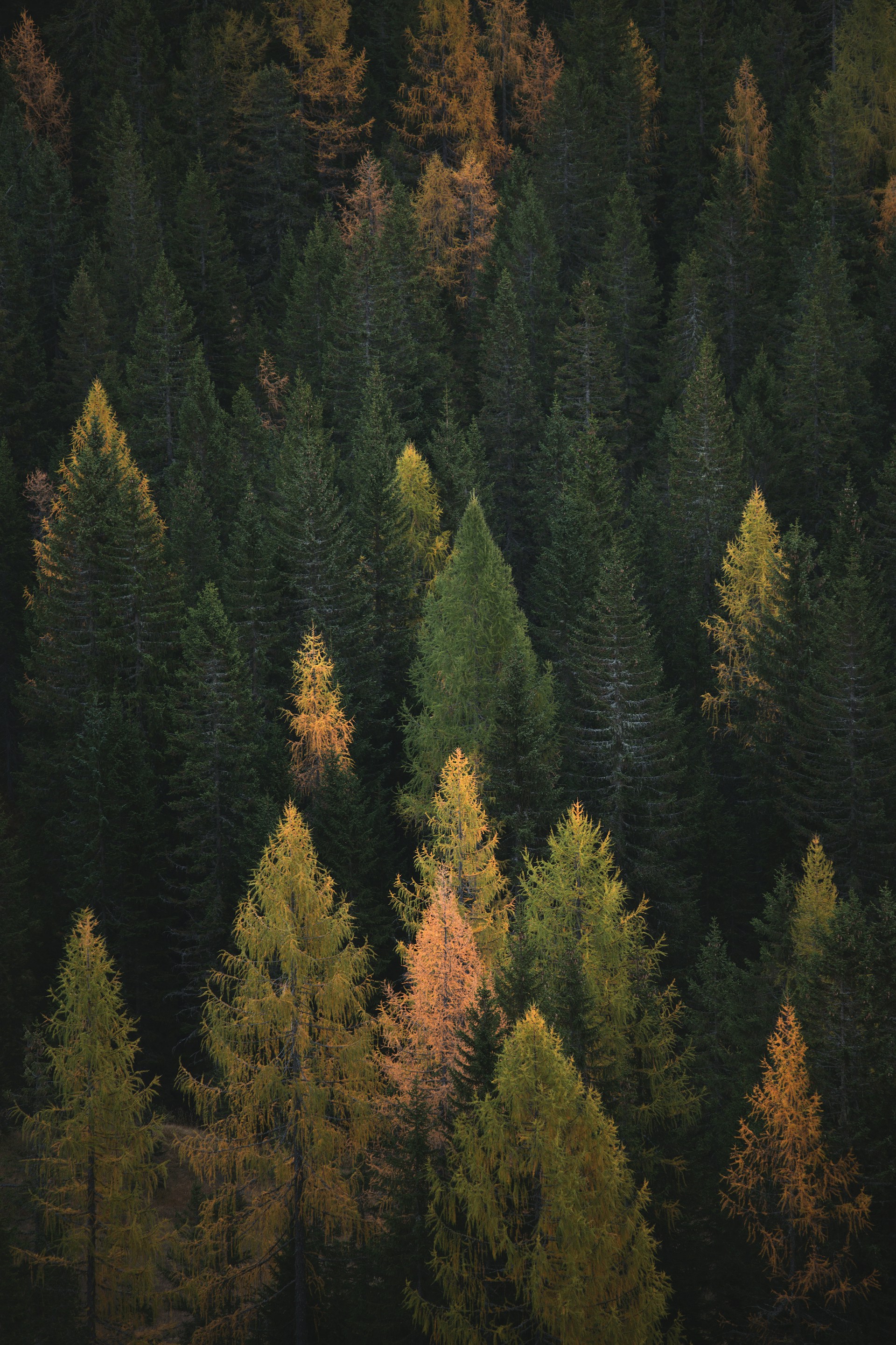 Sustainable heating with wood fuel